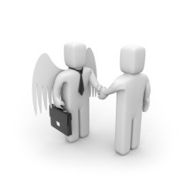 Share capital is an asset.