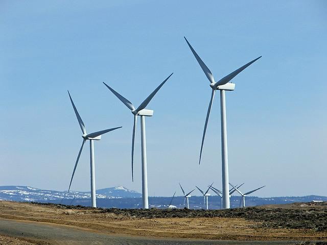 Indicators of material consumption of products