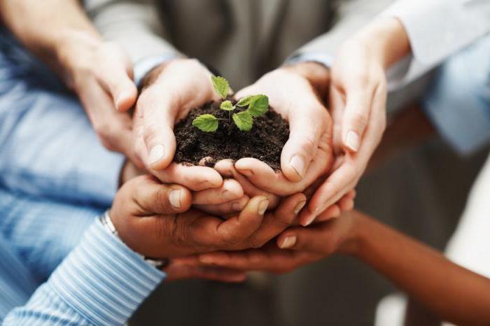 Types of stocks of a joint stock company