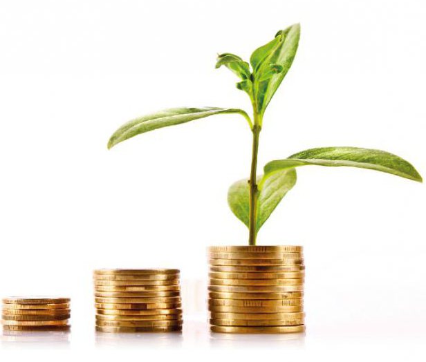 The importance of economics