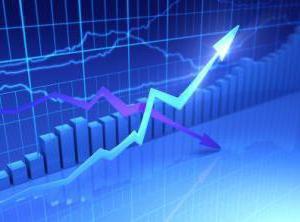 The role of the economy