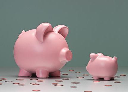 Variable costs of the enterprise