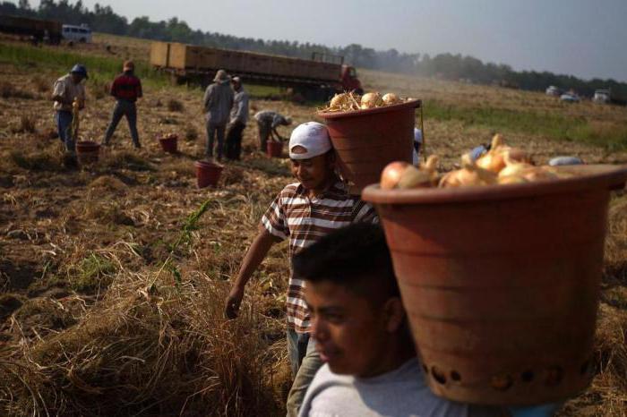 Recession stagnation and stagflation