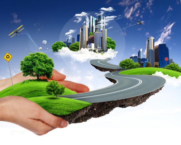 Environmental Management Examples