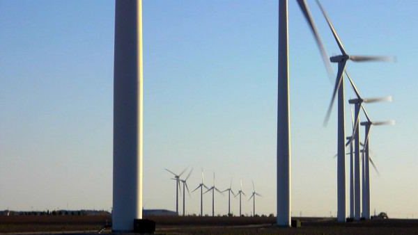 Environmental Management Examples