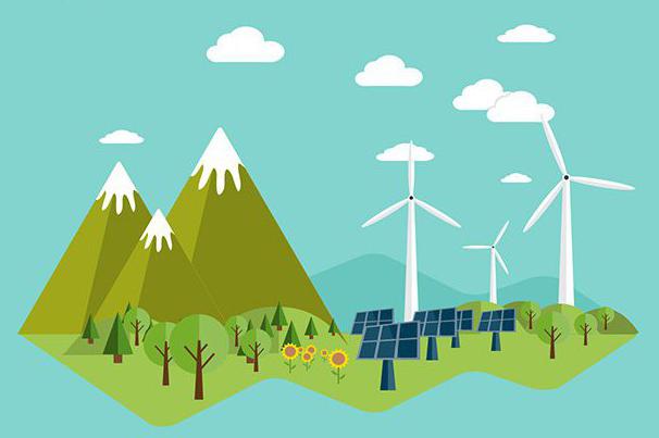 Examples of rational and irrational environmental management