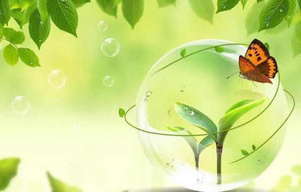 an example of environmental management is plowing