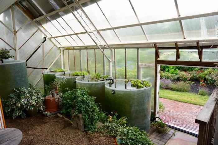 Greenhouse Automation Systems