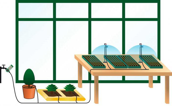 Automation of a personal greenhouse
