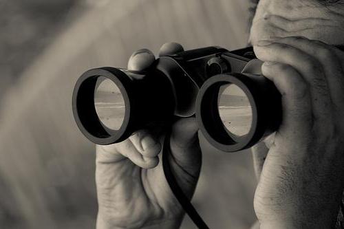 Competitor Monitoring Service