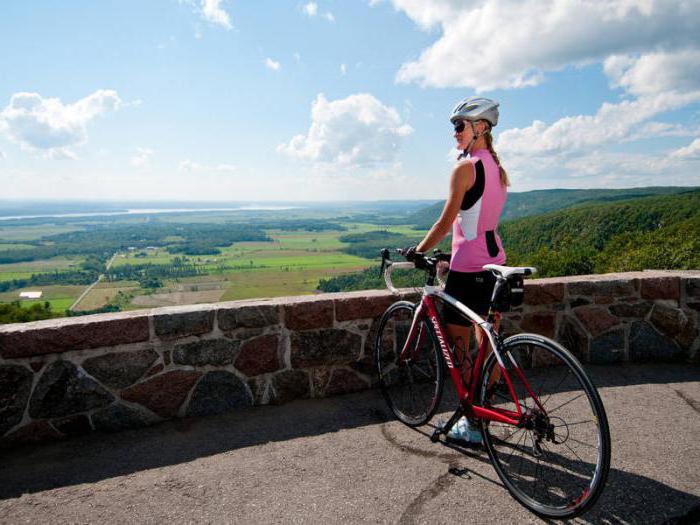 sport business ideas non-standard