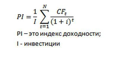 net present value index