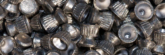 air gun permission russia