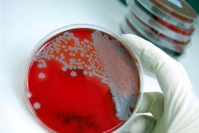 epidemiological certificate