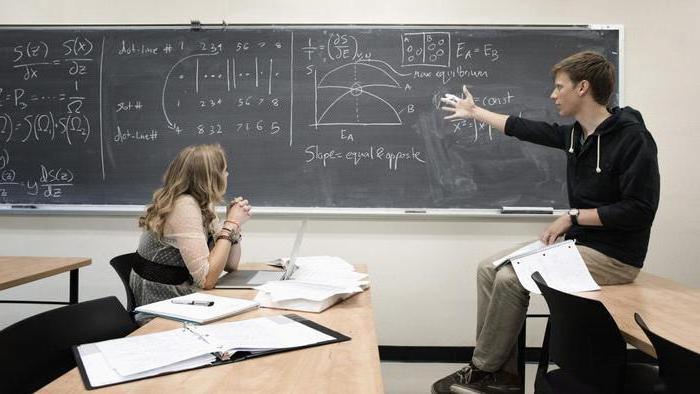 verbal information models examples