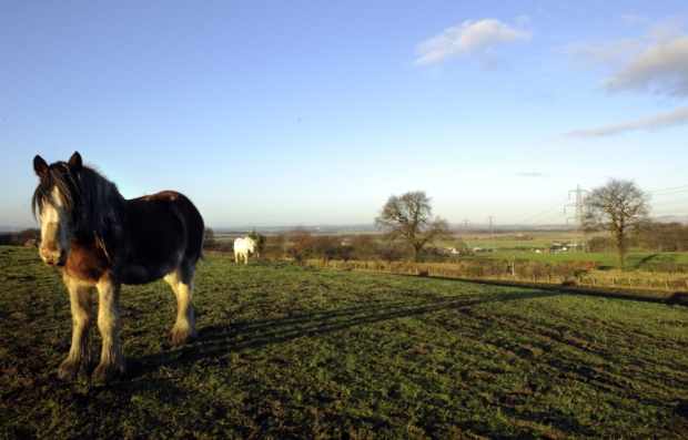 registration of ownership of the russian federation