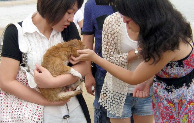 moral and immoral acts