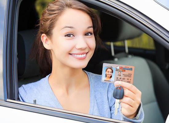 international driving license