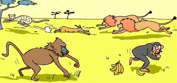 examples of competition in nature