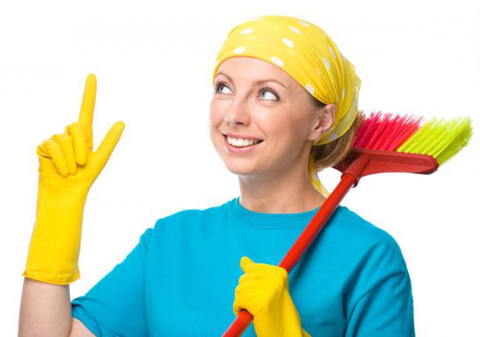 job description of a cleaning lady