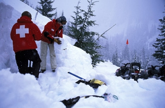 on compulsory liability insurance