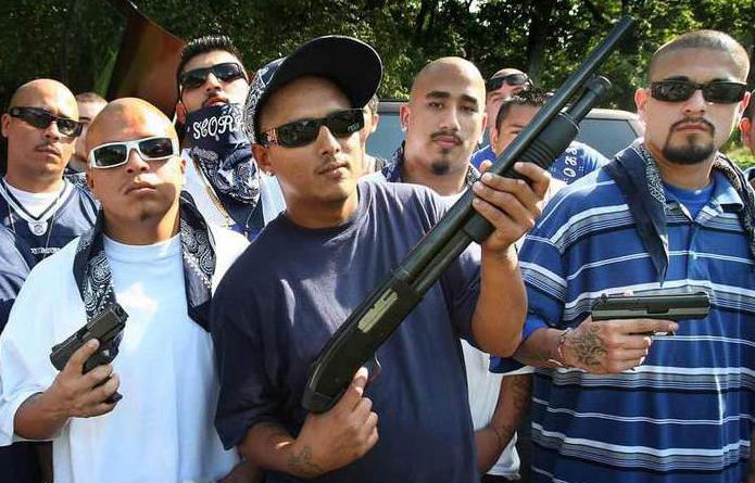 organization of a criminal community of a criminal organization or participation in it