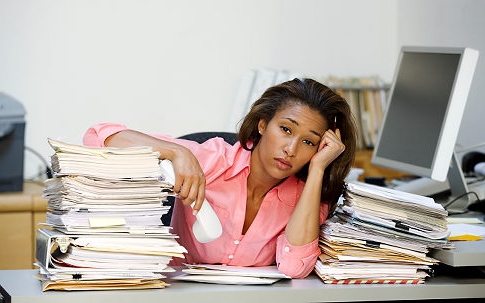 area of ​​professional activity