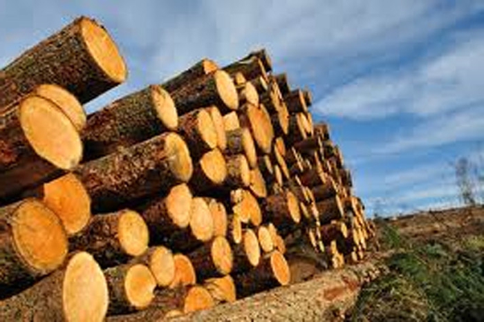 environmental relations