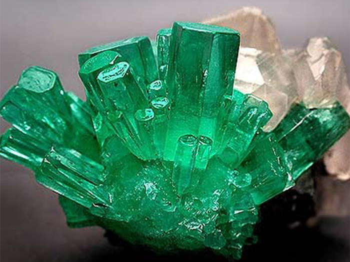 the basis for the emergence of environmental relations is