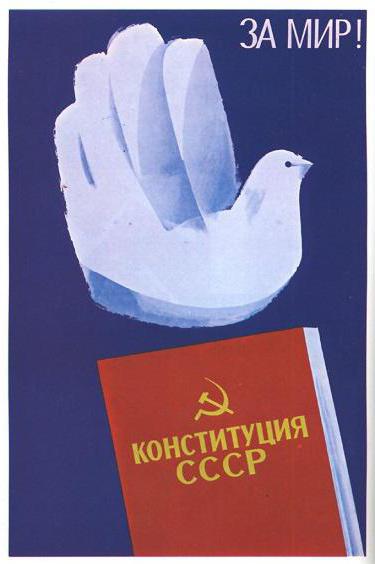 constitution of developed socialism date