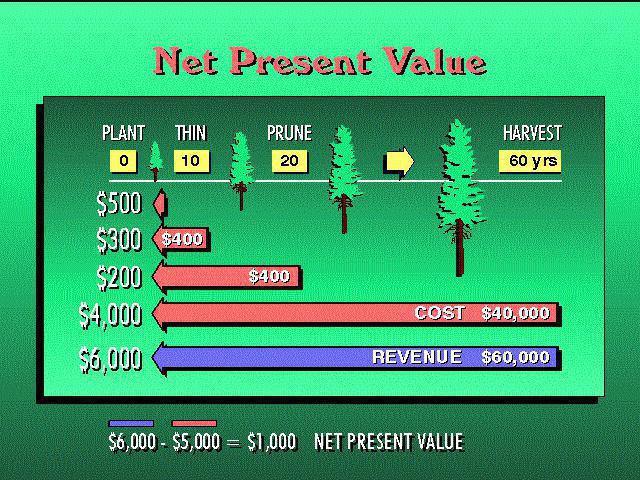 net present value formula