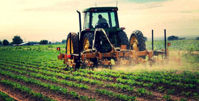 various types of business activities examples