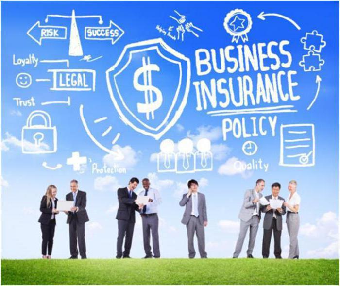 business risk insurance contract