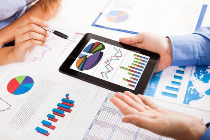 Head of Audit Department