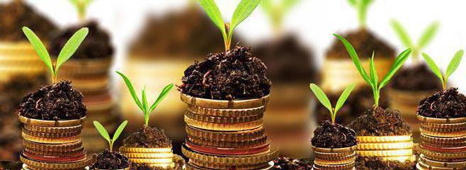 1s management accounting program