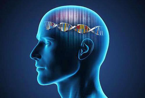 movement of intangible assets