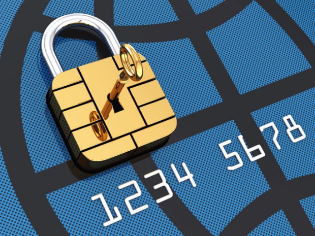 custody of securities in the depository