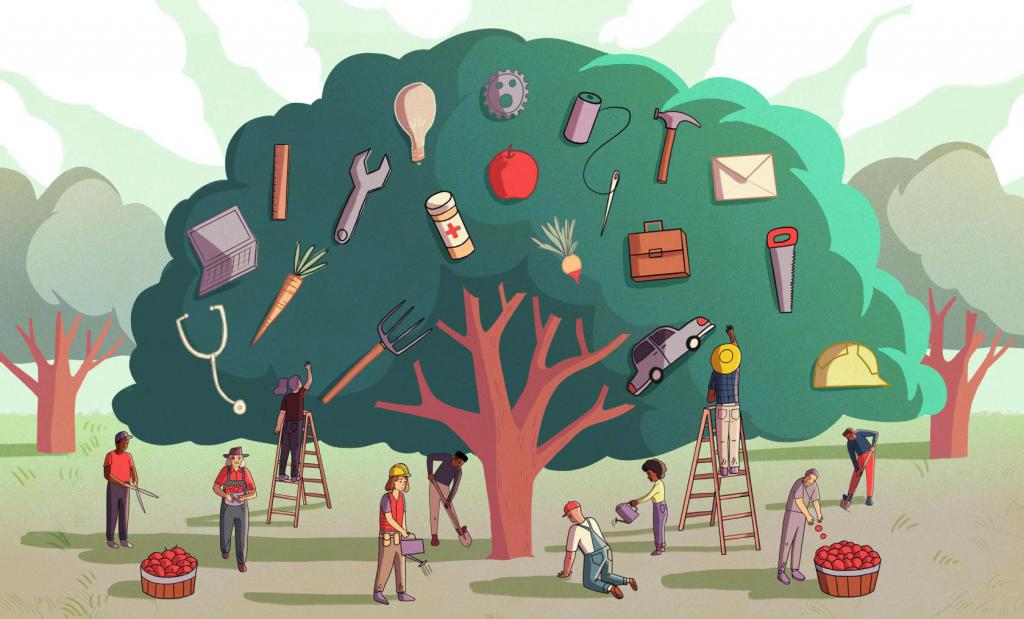 improvement of standardization and remuneration