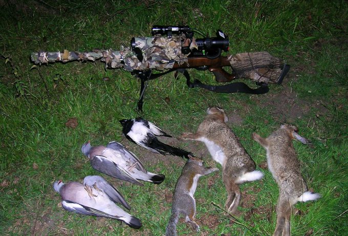 common hunting grounds