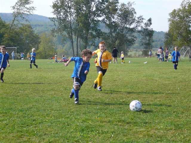 organization of recreational activities