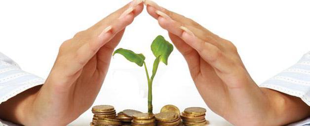 auditors professional liability insurance