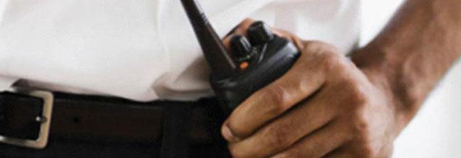 duties of the chief of security