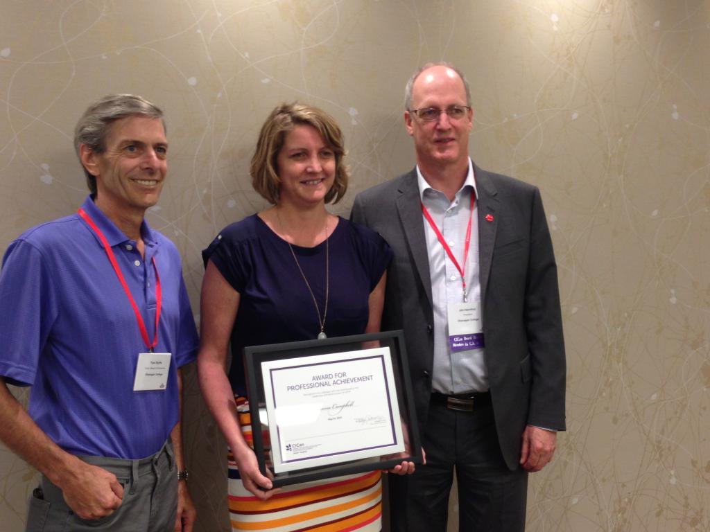 Professional Achievements in Resume