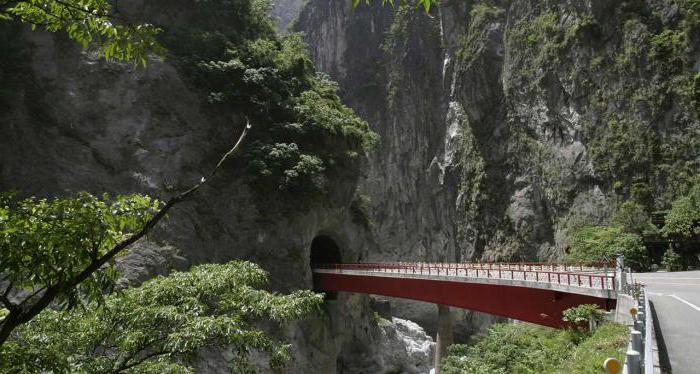 the five most dangerous roads in the world