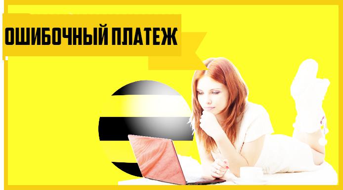 How to return an erroneous payment to Beeline