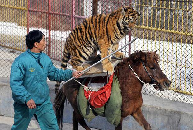 occupations with dangerous working conditions