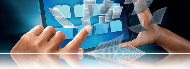 Organization field of activity