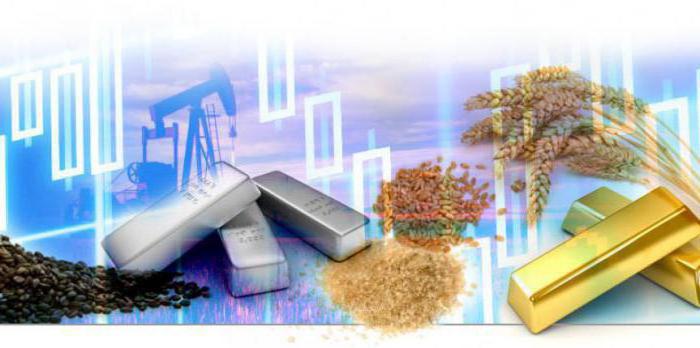 Job description merchandiser