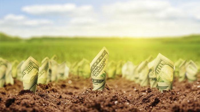 investment and development