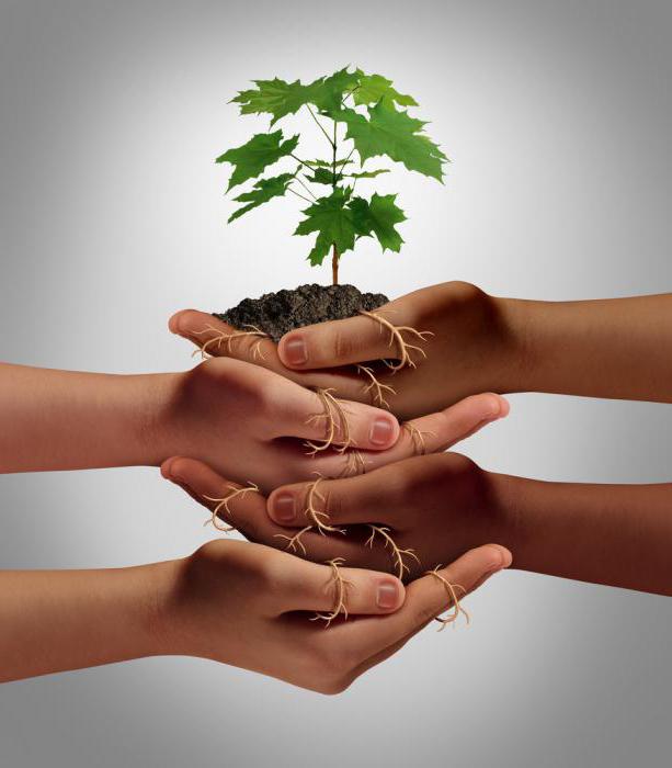 direct venture capital investments